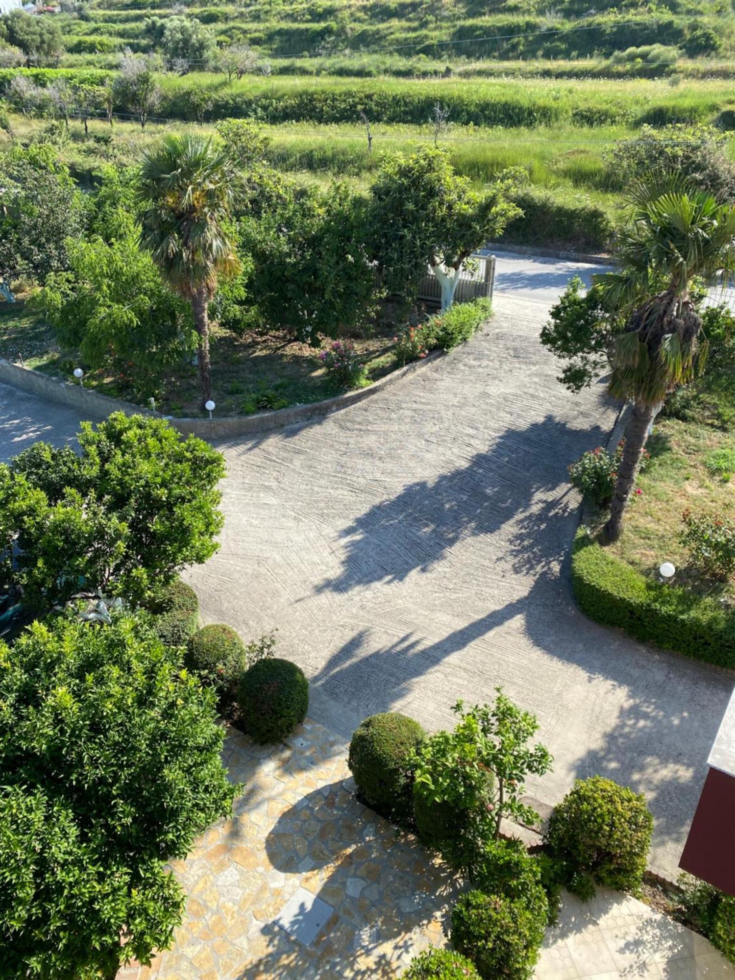 Radhimë Hotel Dini מראה חיצוני תמונה