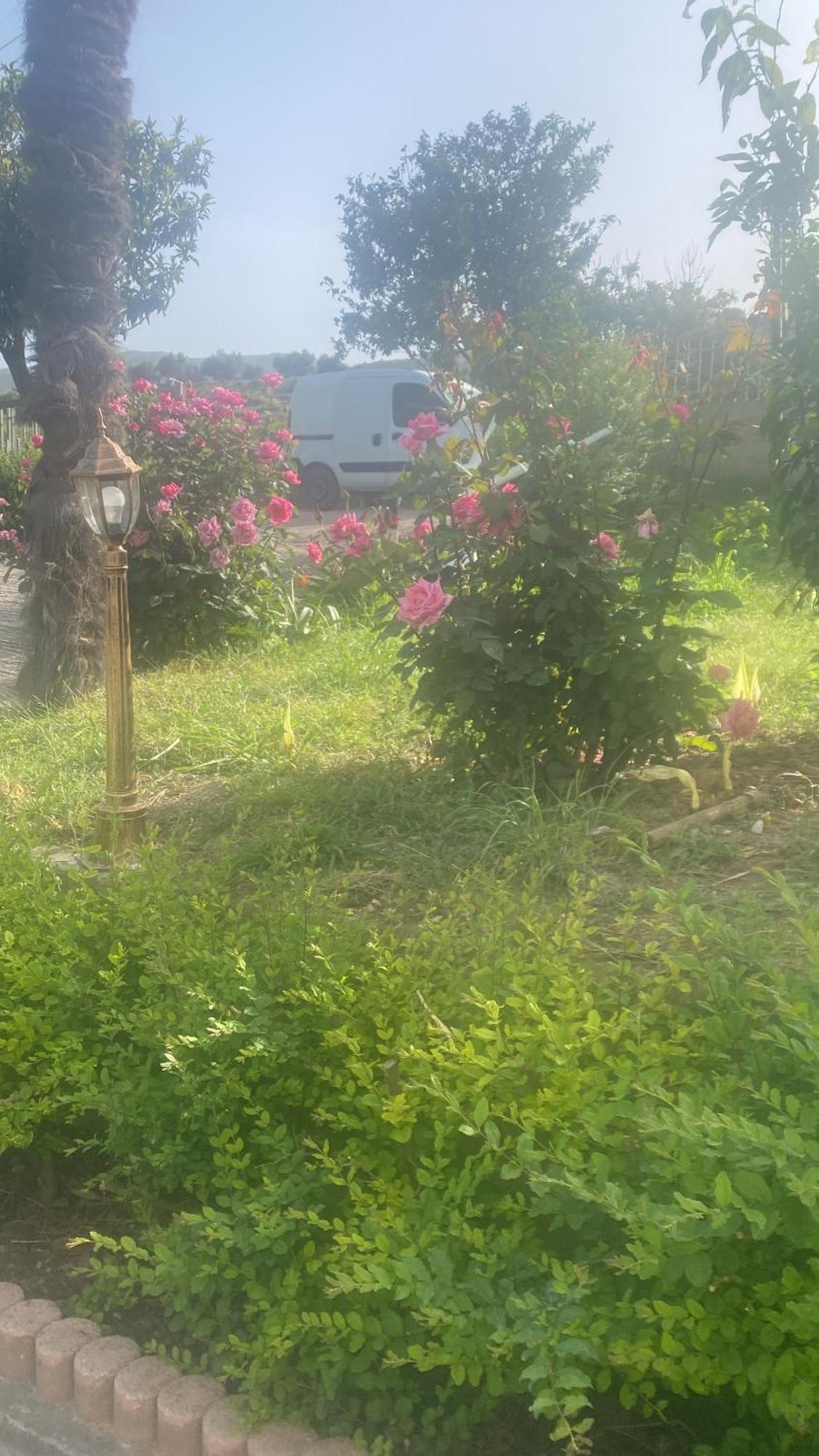 Radhimë Hotel Dini מראה חיצוני תמונה