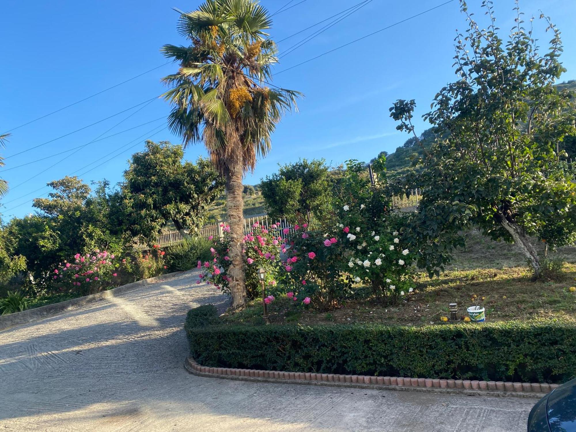 Radhimë Hotel Dini מראה חיצוני תמונה