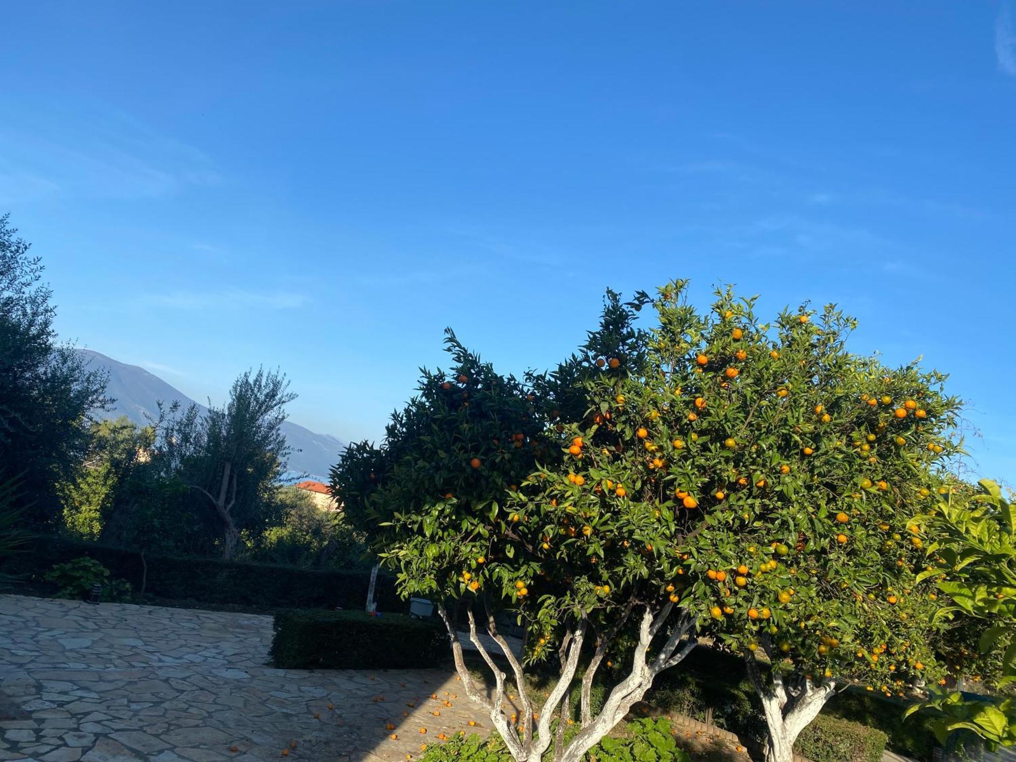 Radhimë Hotel Dini מראה חיצוני תמונה